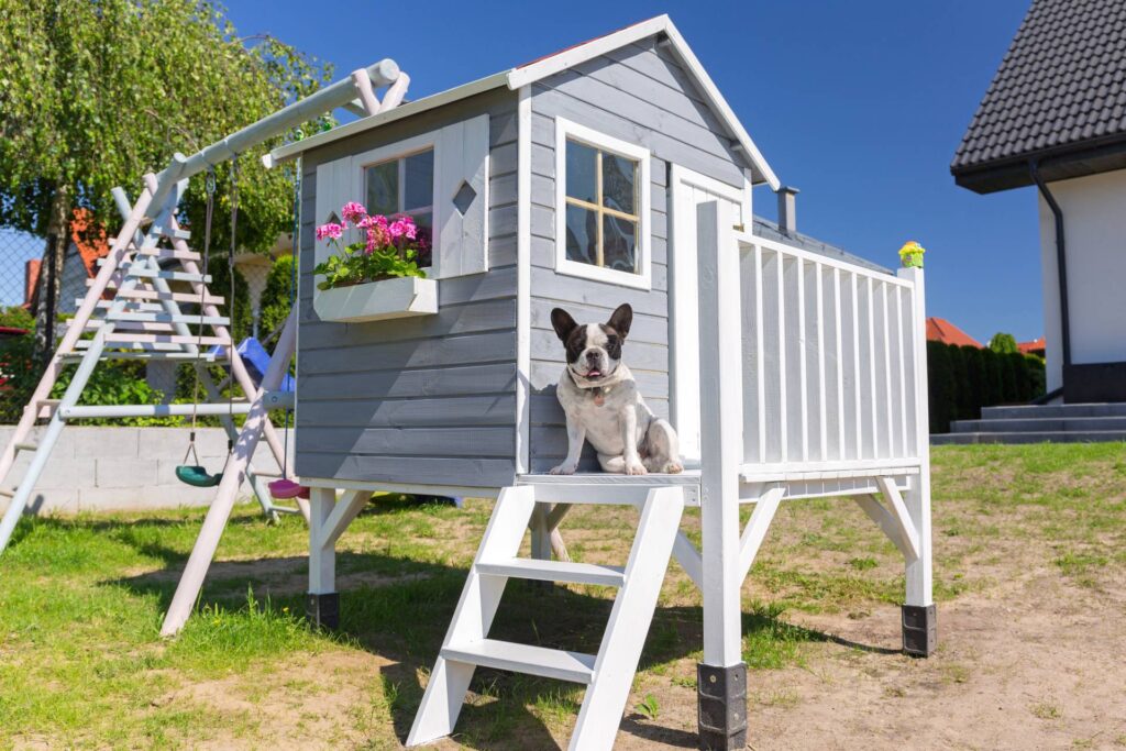 How to design and furnish a shed for a cozy dog house