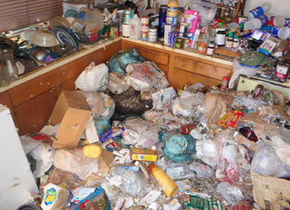 How to report a hoarder house effectively